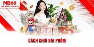 Cách Chơi Bài Phỏm - Hướng Dẫn Nhập Môn Dễ Nhất 2024